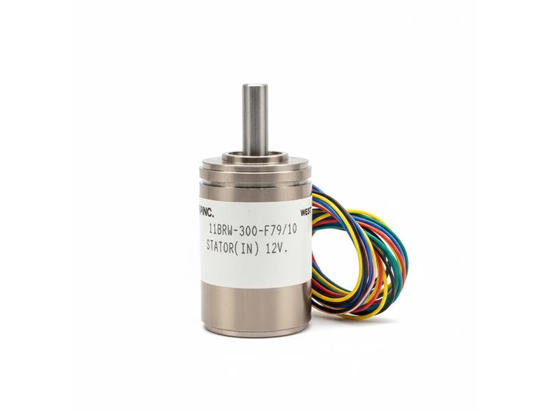 DYNAPAR 11BRW-300-F79/10