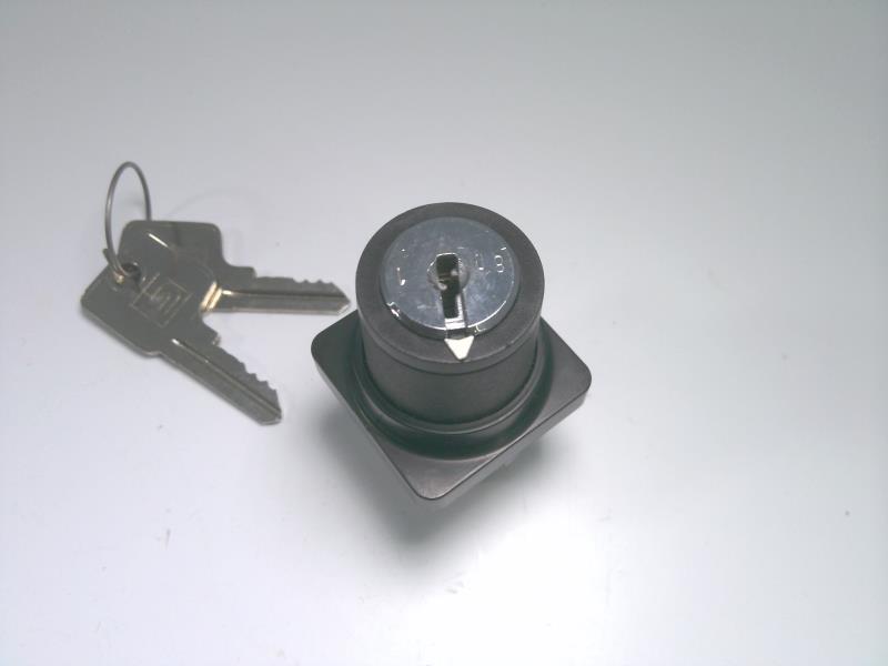 SCHNEIDER ELECTRIC 9001-D1L30