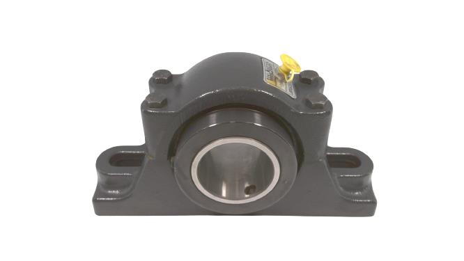 REGAL REXNORD RPB 203-C2