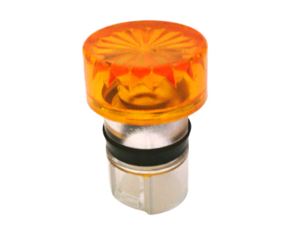 ALLEN BRADLEY 800MR-N2A