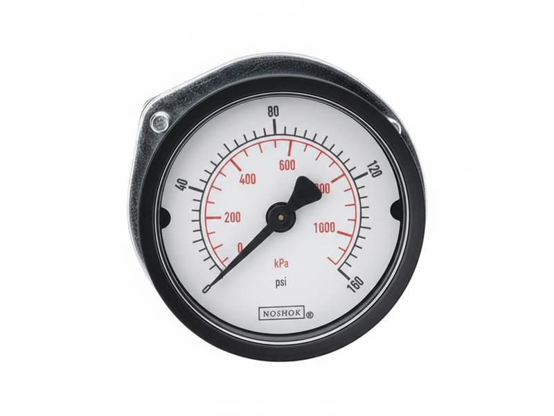 NOSHOK 15-110-300-PSI/KPA-PMC-CC