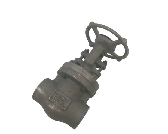 BONNEY FORGE HL-11-LE