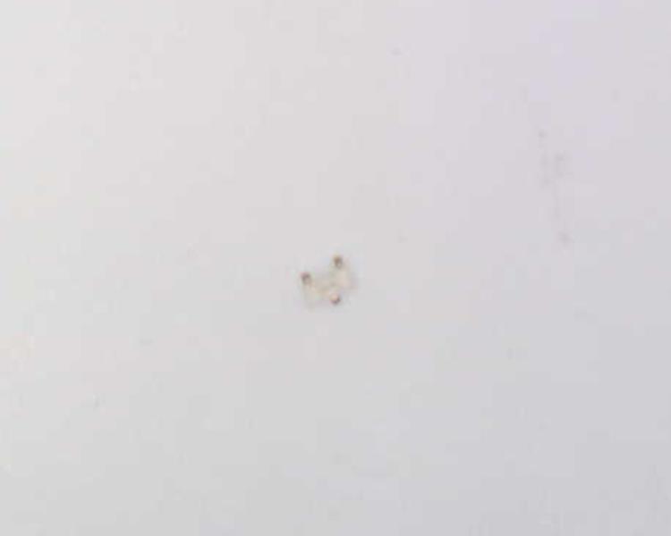 AM23ESGW by KINGBRIGHT