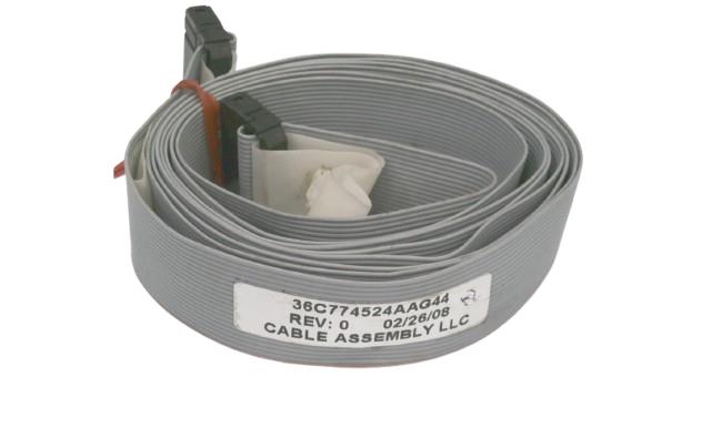 36C774524AAG44 by TE CONNECTIVITY