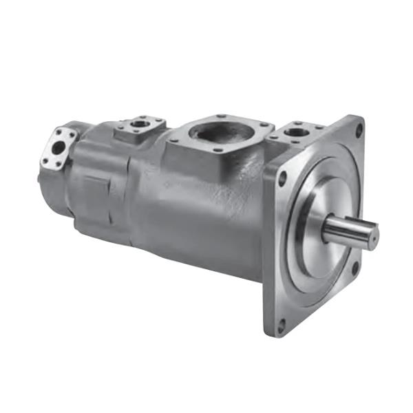 TOKYO KEIKI 2520VQ21A11-11AA20-JA