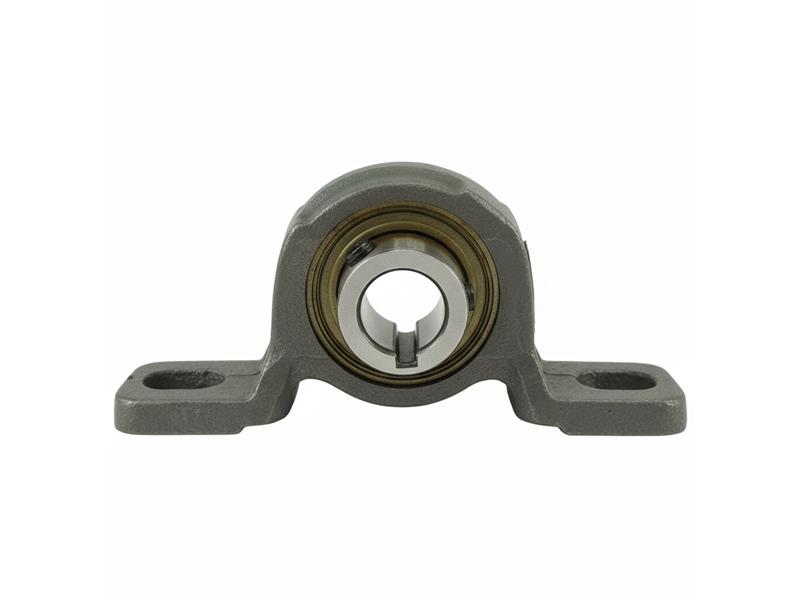 1001-00202 by REGAL REXNORD