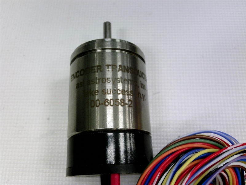 NORTH ATLANTIC 10060582