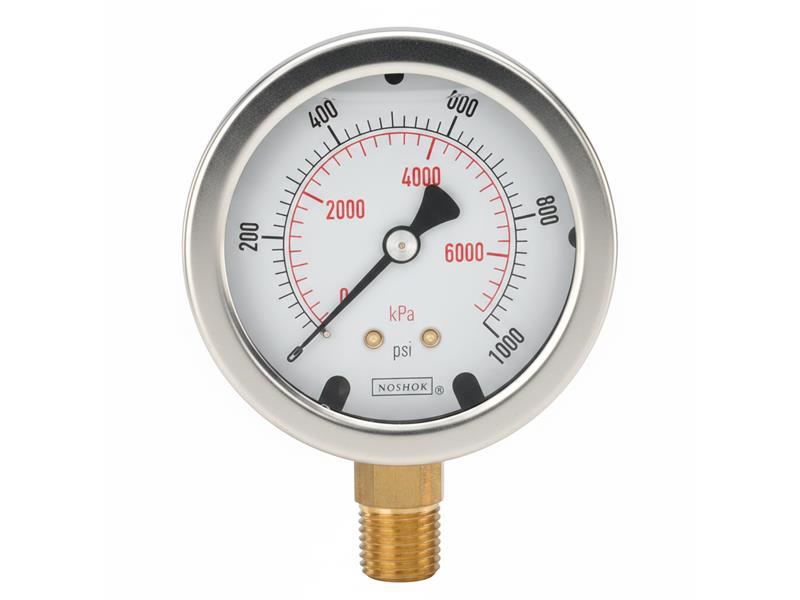 NOSHOK 40-300-15000-PSI/BAR-BT8