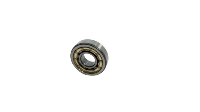 SCHAEFFLER GROUP NJ304-E-M1-C3