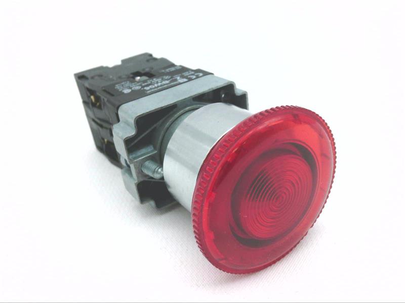 SCHNEIDER ELECTRIC XB2BN4161