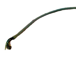 ALPHA WIRE 6012C-FT