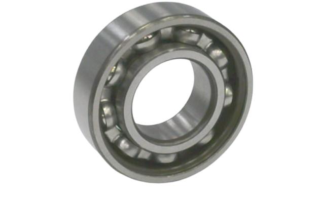 SCHAEFFLER GROUP 6004ZR