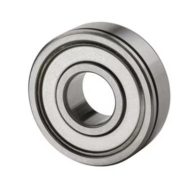 SKF 1901SFF