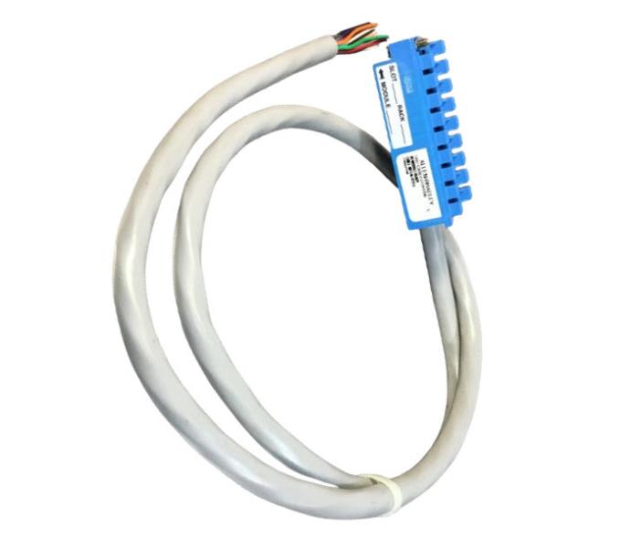 ALLEN BRADLEY 1492-CABLE010RTBB
