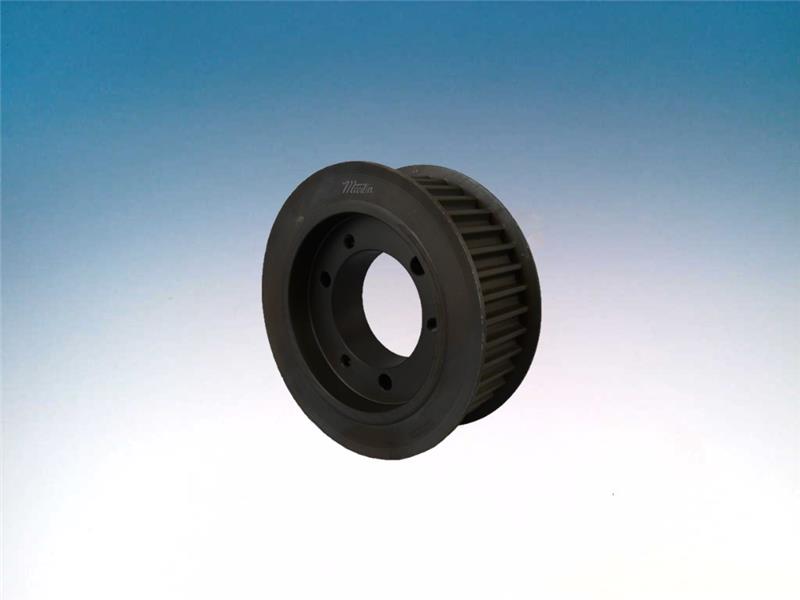 MARTIN SPROCKET & GEAR INC P248M20-JA