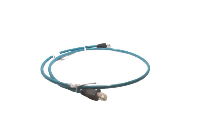 BELDEN J424PVCSTJT01.0M