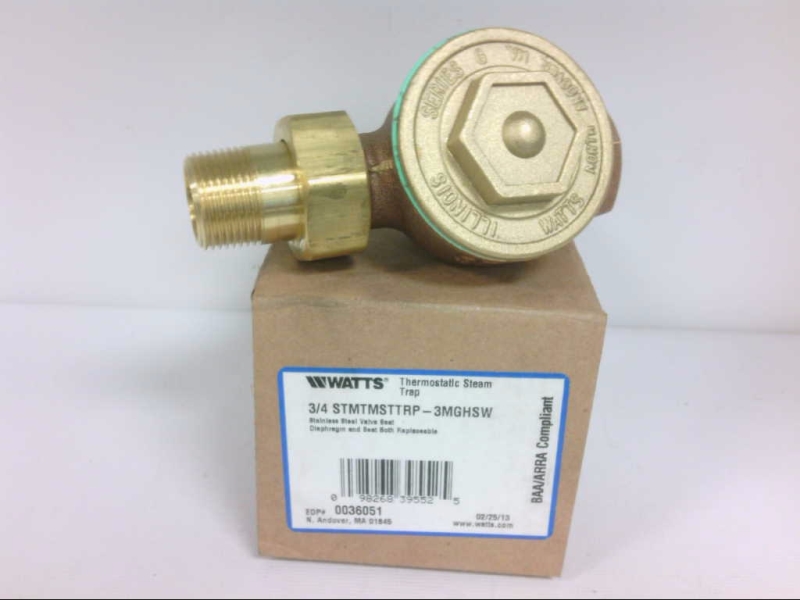 WATTS 3/4STMTMSTTRP-3MGHSW
