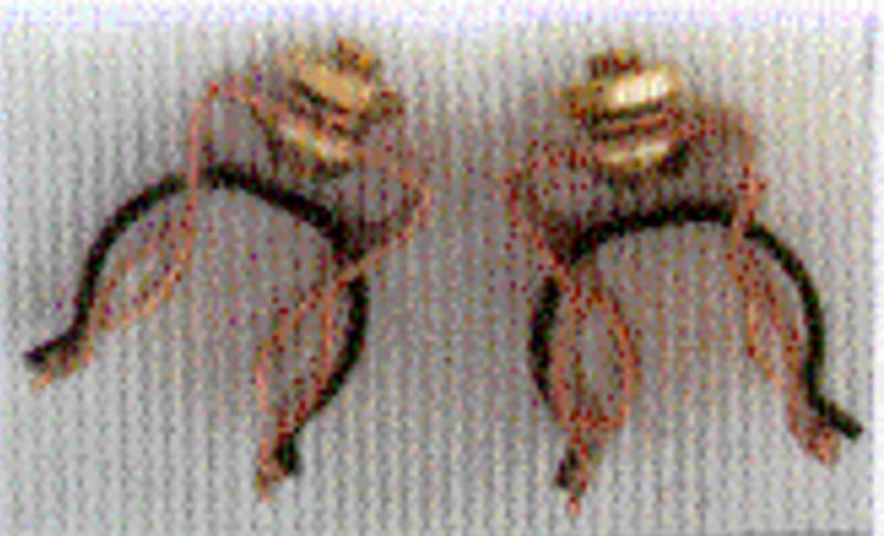 GLOW TUBE INC 05010090