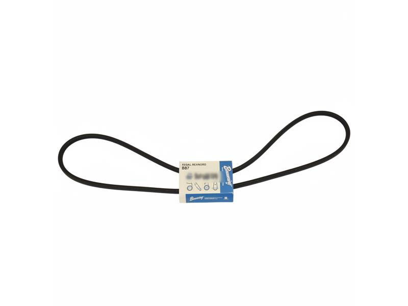 REGAL REXNORD B87