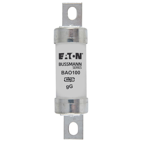 EATON CORPORATION BAO100