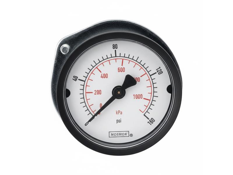 NOSHOK 20-110-100-PSI/KPA-1/8-SSB-PMC-CC
