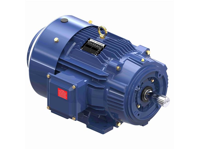 REGAL REXNORD 256TTFCD6078