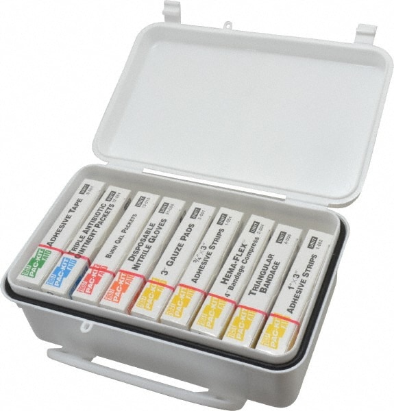 PRO SAFE INC PS733P1