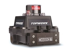 TOPWORX DXP-FF1GNEBPA2