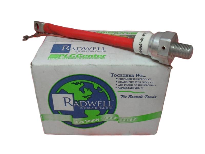 CS165-15I01-61-8NO by ASEA BROWN BOVERI