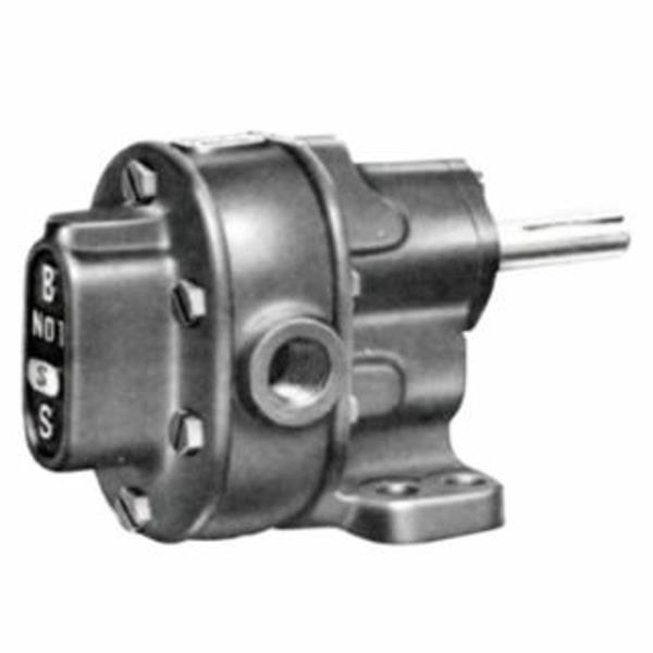 BSM PUMP 713-12-2