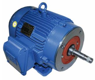 WEG 00536ET3E184JM-W22