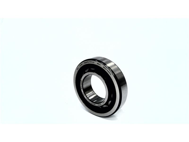 SCHAEFFLER GROUP NU207-E-TVP2-C3