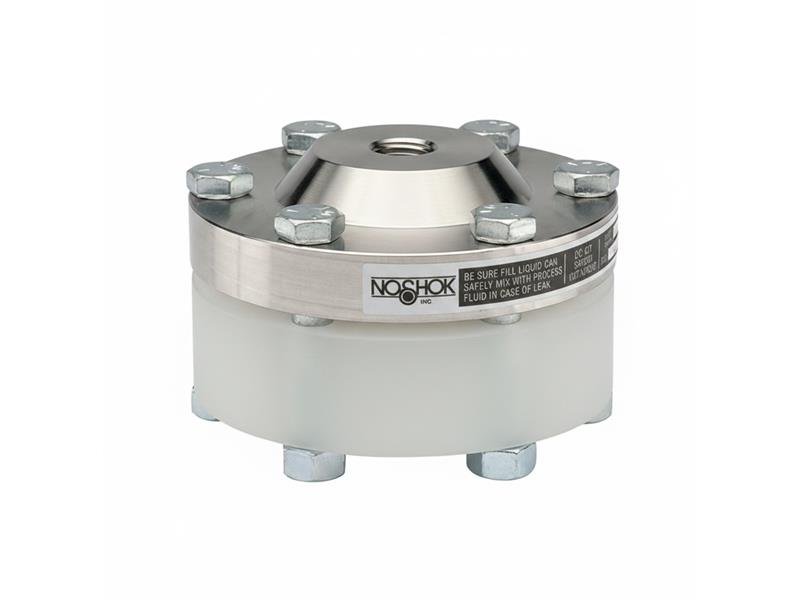 NOSHOK 10L-02S-T-V-06KN