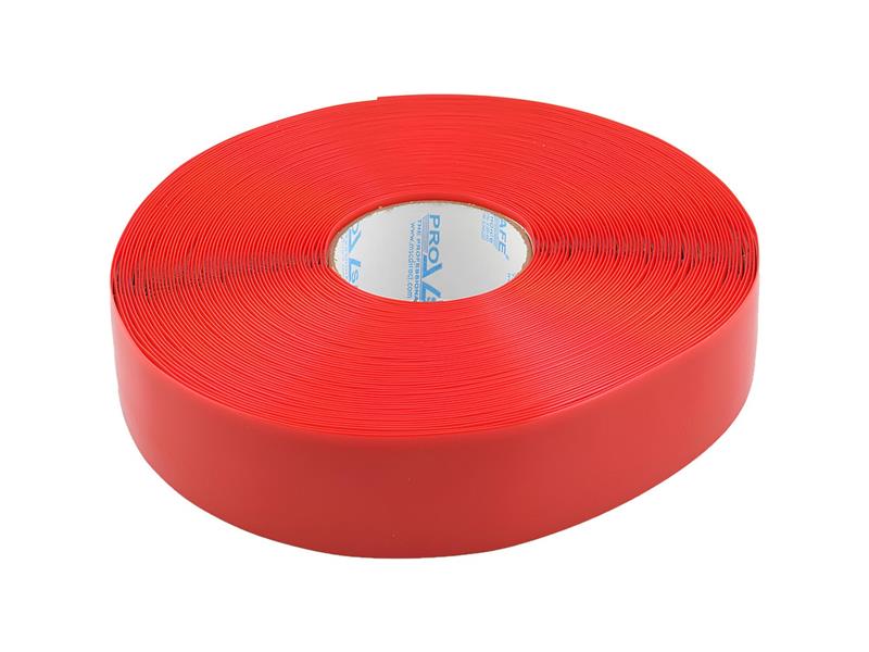 PRO SAFE INC 30-PRO-2RR