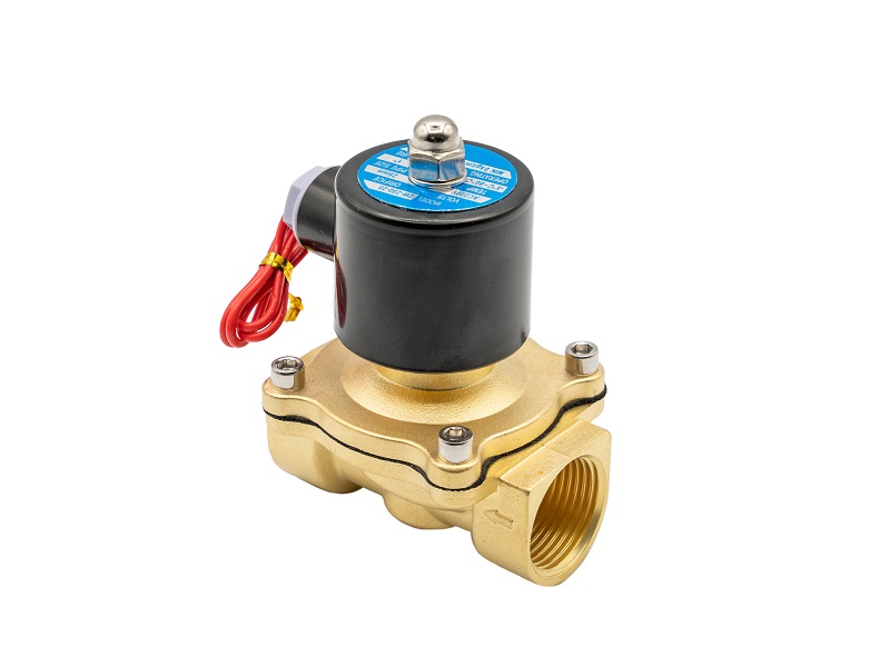 HAK FLUID POWER EQUIPMENT 2W250-25 (110V AC)