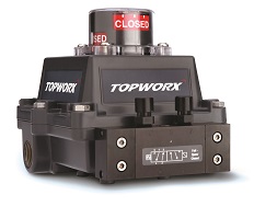 TOPWORX DXP-T21GNEB8A2