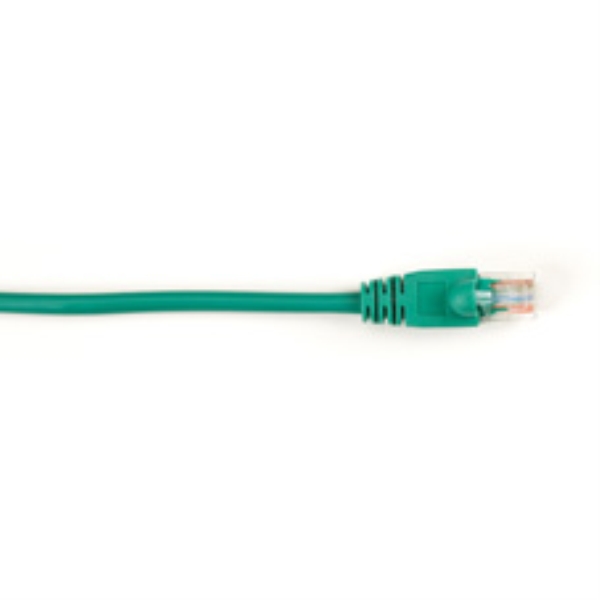 BLACK BOX CORP CAT5EPC-025-GN
