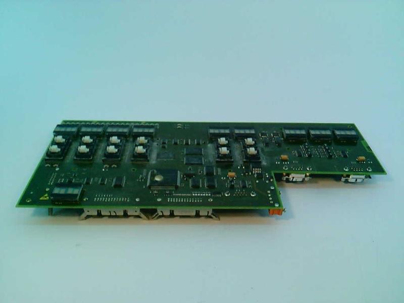MAN ROLAND C37V702077