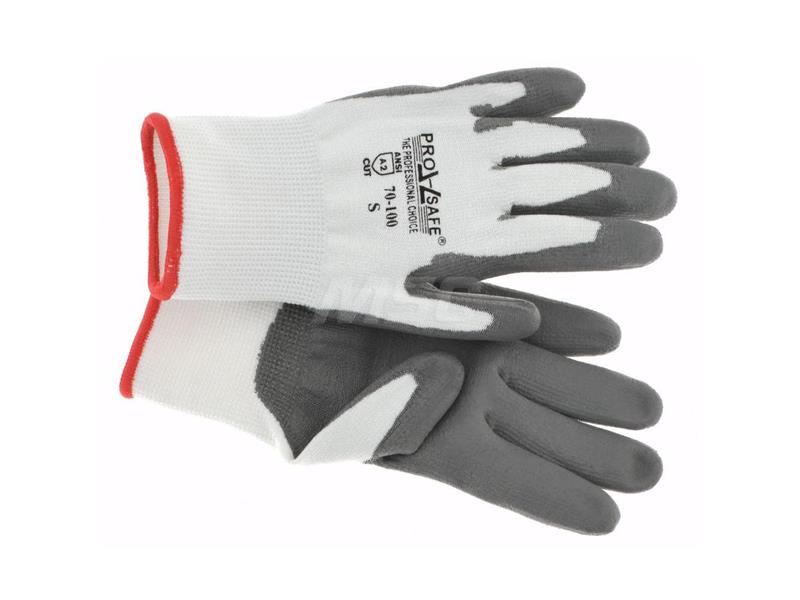 PRO SAFE INC 70-100-S