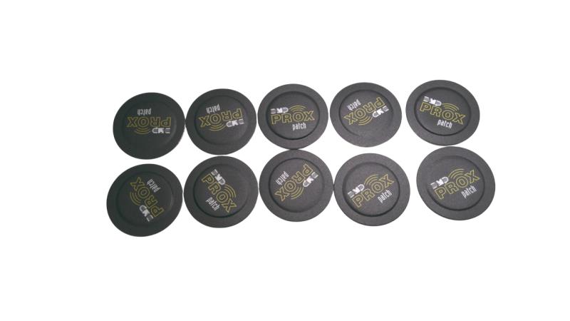 DMP CORPORATION 1306P/10