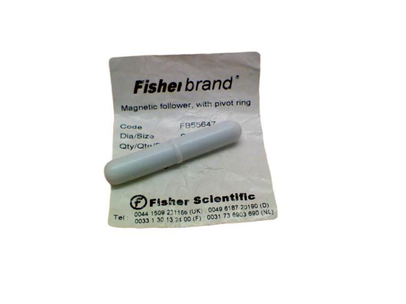 FB55647 by THERMO FISHER SCIENTIFIC