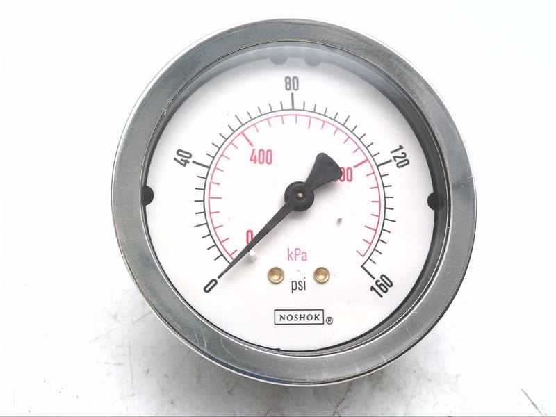 NOSHOK 25-110-160PSI/KPA-1/4-SSB