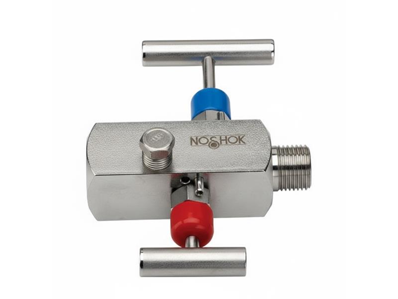 NOSHOK 7618S-20