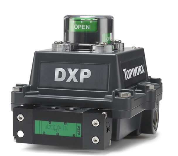 TOPWORX DXP-L20GNES