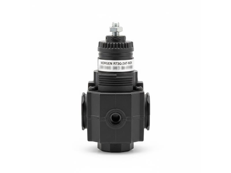 NORGREN R73G-2AT-NSN
