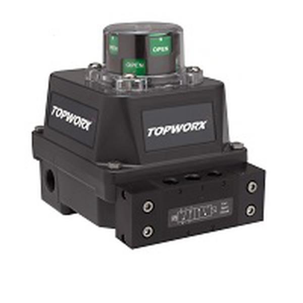 TOPWORX DXR-N224NPS00000N004