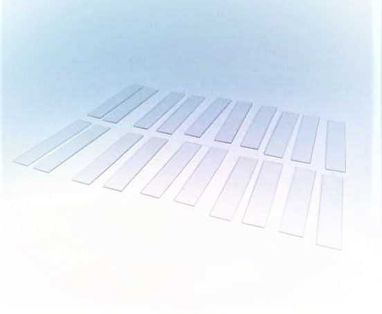 STR 5 S F.SCHT 5 S by WEIDMULLER