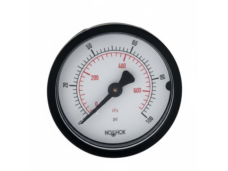 NOSHOK 20-110-60-PSI/KG/CM2-SSB-BP3