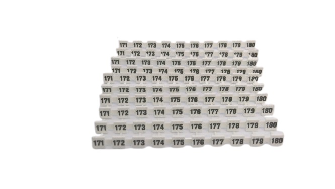 PHOENIX CONTACT BNB-ZB 6,2,LGS:FORTL.ZAHLEN 171-180