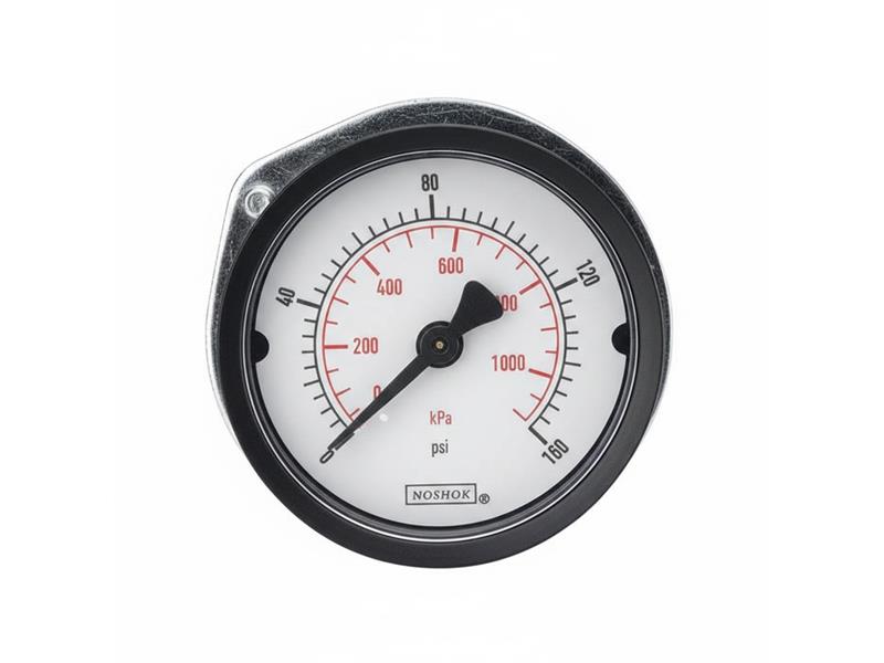 NOSHOK 25-110-100-PSI/KPA-PMC-BP3